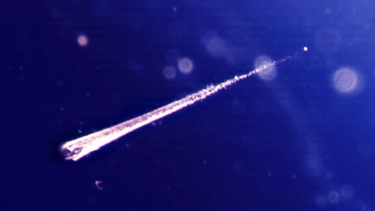 Meteoroid_meteor_meteorite