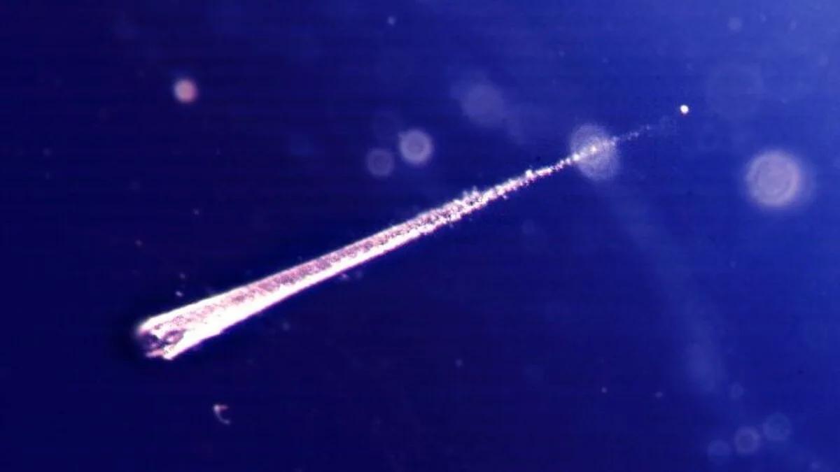 Meteoroid_meteor_meteorite